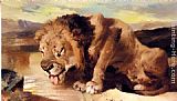 Sir Edwin Henry Landseer Lion Drinking At A Stream painting